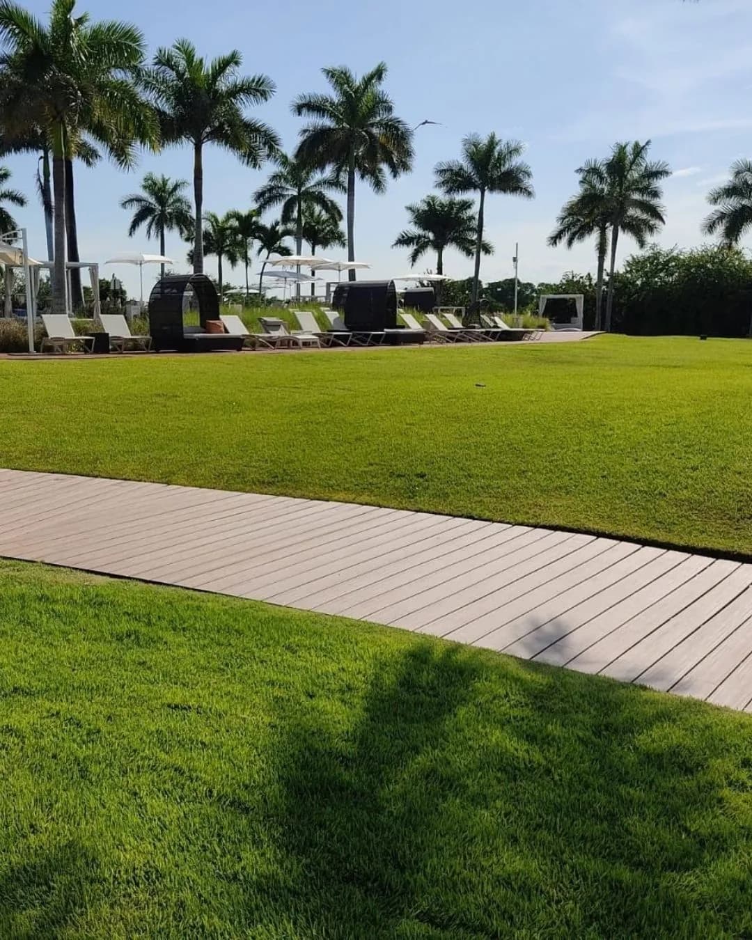 Andador de deck WPC que cruza el jardín de un hotel, con palmeras y camastros al fondo